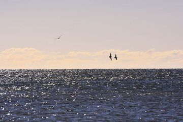 Haus am Meer, App 161