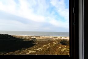 Strandhafer